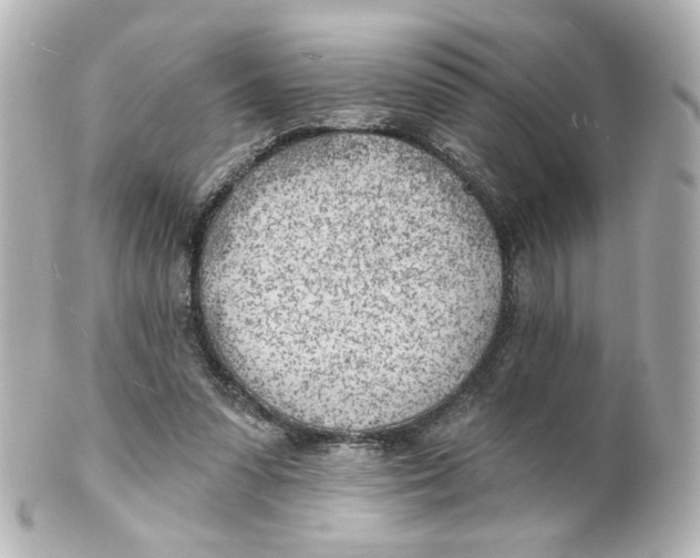 X0000101470303200808041111