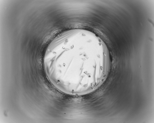 X0000101470306200808041111