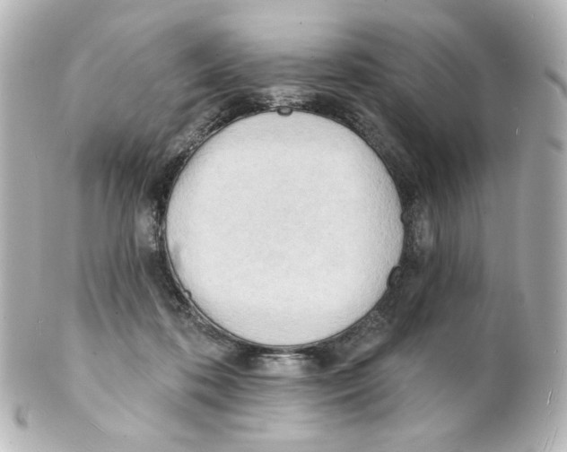 X0000101470316200808041111