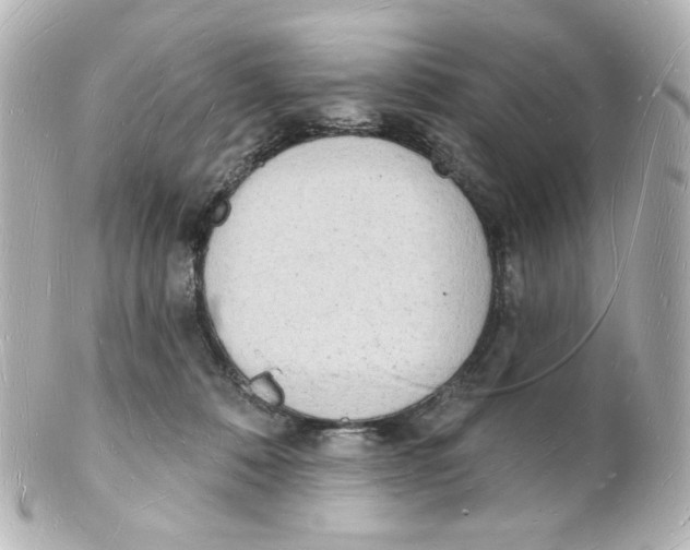 X0000101470320200808041111