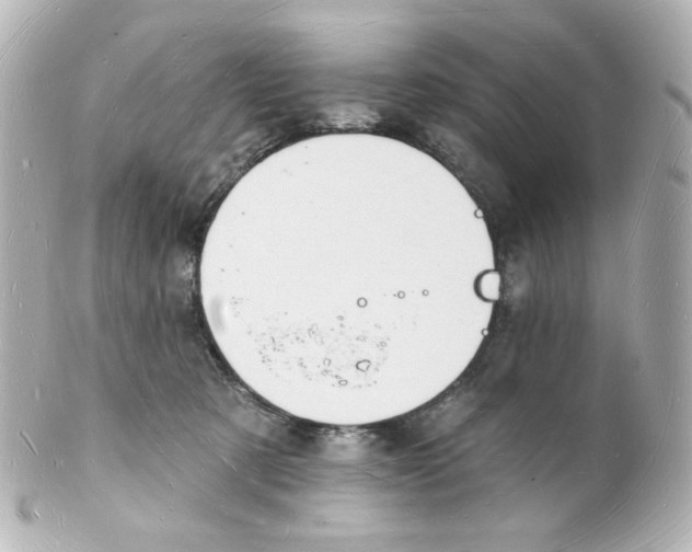 X0000101470321200808041111