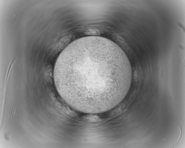 X0000101470322200808041111