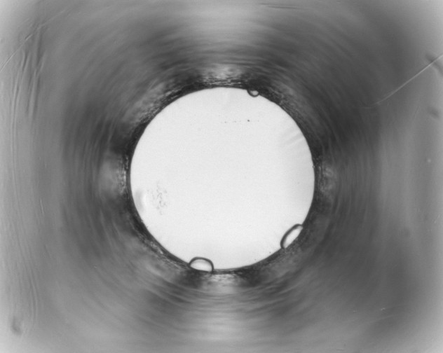 X0000101470324200808041111