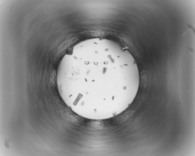 X0000101470325200808041111