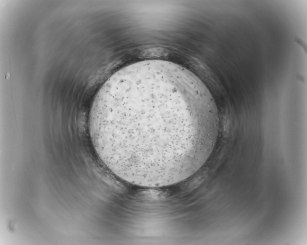 X0000101470326200808041111