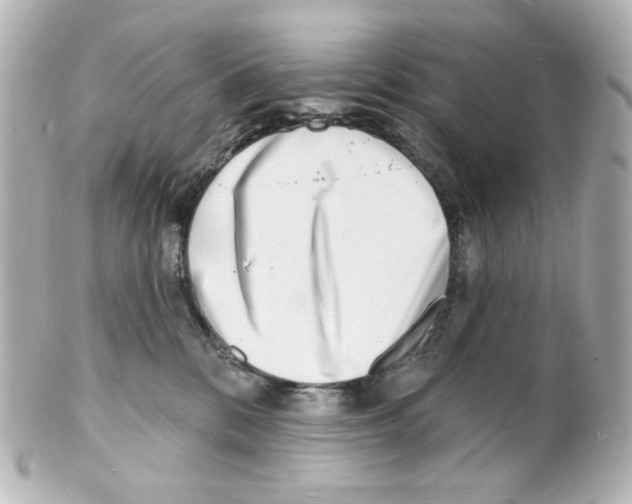 X0000101470328200808041111