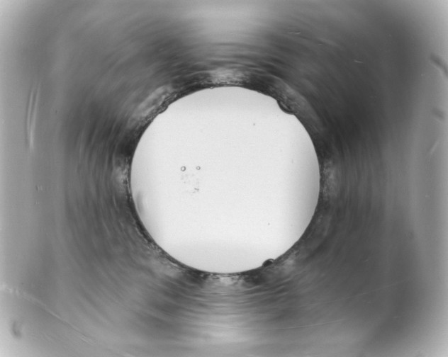 X0000101470329200808041111