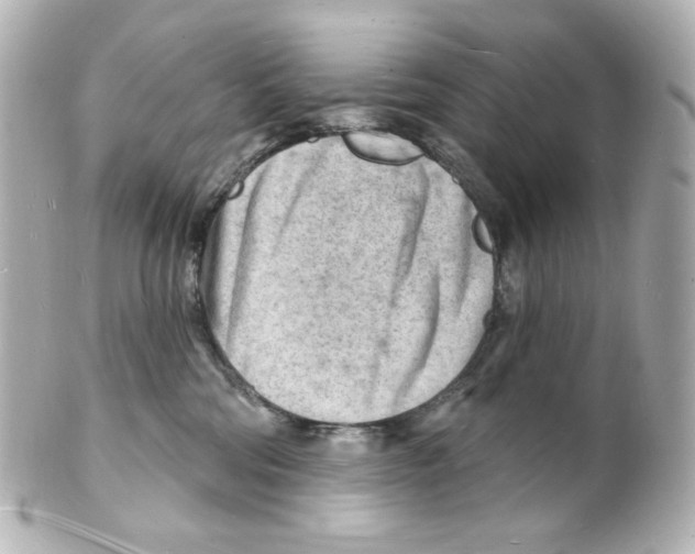 X0000101470330200808041111