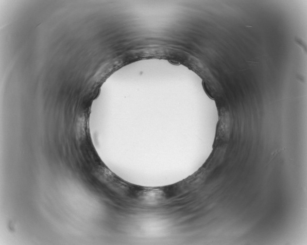 X0000101470333200808041111