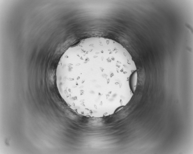 X0000101470334200808041111