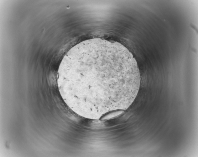 X0000101470335200808041111