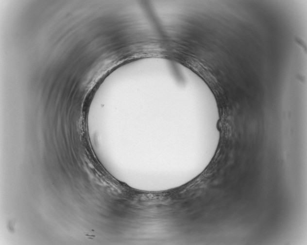 X0000101470338200808041110