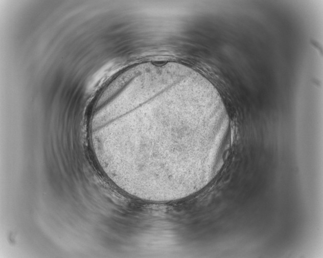 X0000101470339200808041110