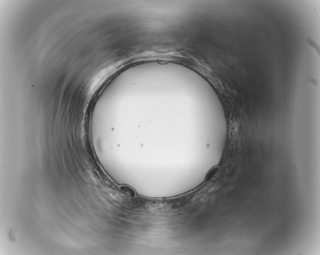 X0000101470340200808041110