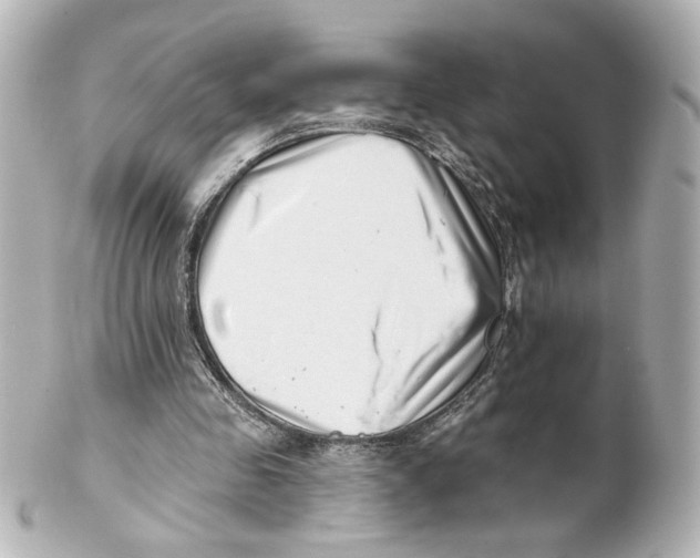 X0000101470341200808041110