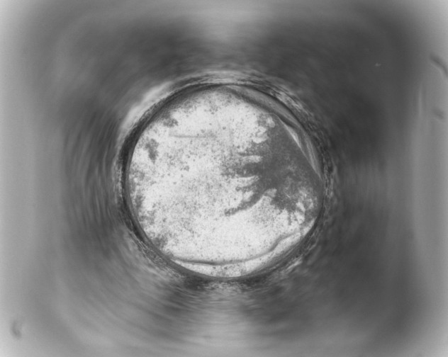 X0000101470343200808041110