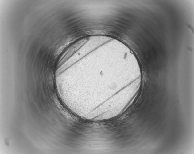 X0000101470345200808041110