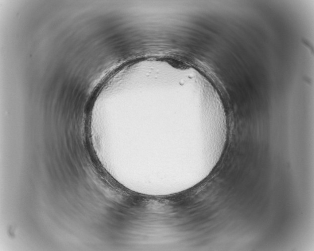 X0000101470346200808041110