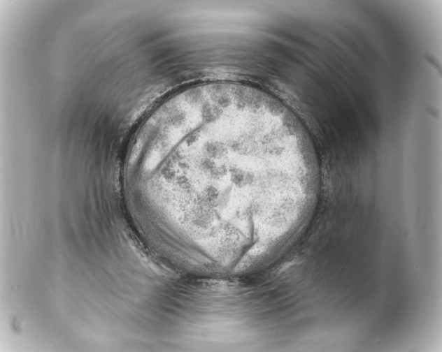 X0000101470347200808041110