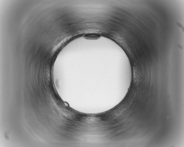 X0000101470348200808041110