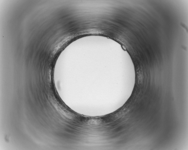 X0000101470350200808041110