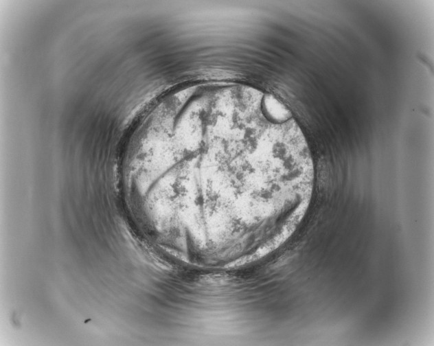 X0000101470351200808041110