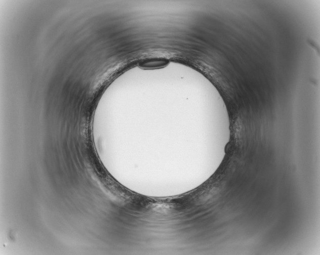 X0000101470352200808041110