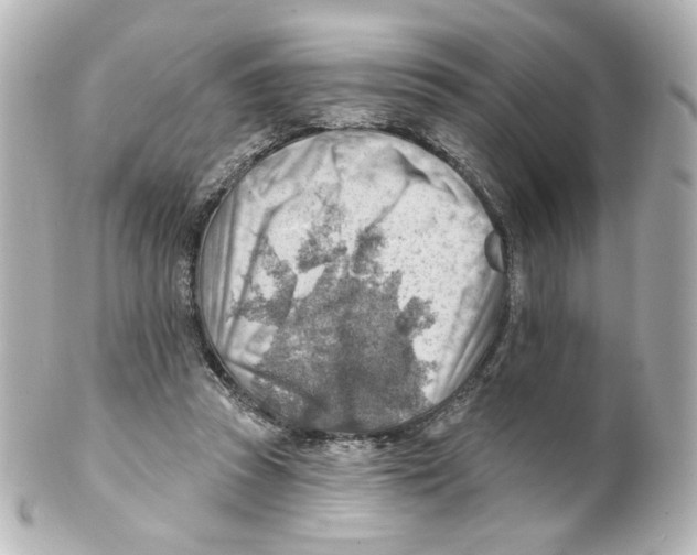 X0000101470353200808041110