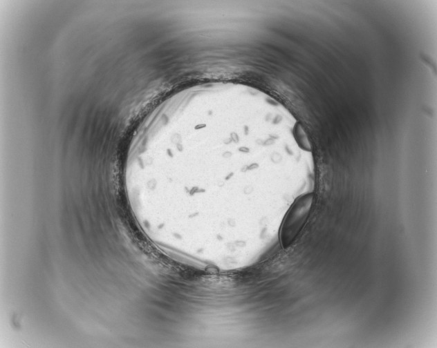 X0000101470354200808041110