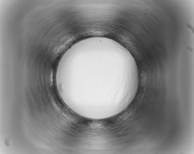 X0000101470358200808041110