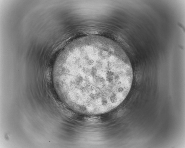 X0000101470359200808041110