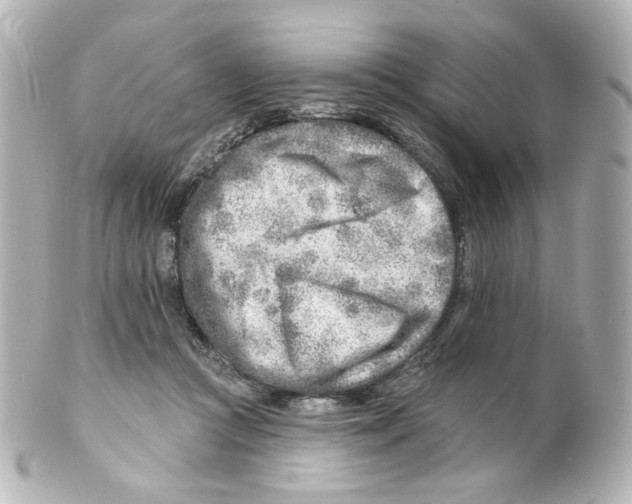 X0000101470361200808041110