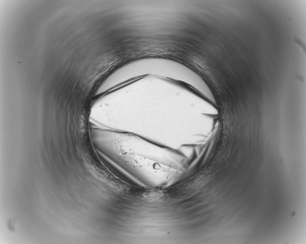 X0000101470362200808041110