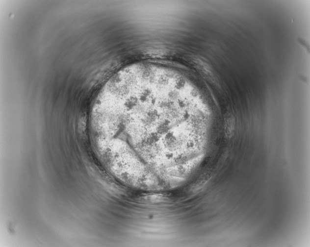 X0000101470365200808041110