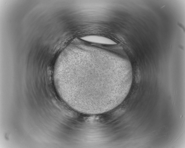 X0000101470366200808041110