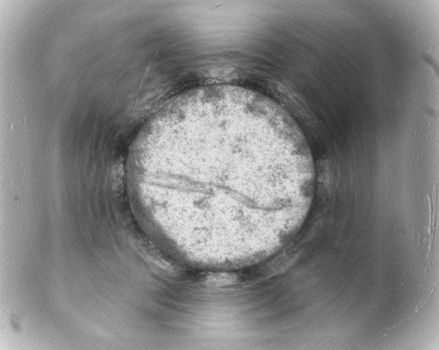 X0000101470369200808041110