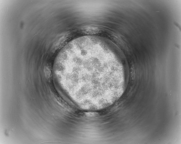 X0000101470371200808041110