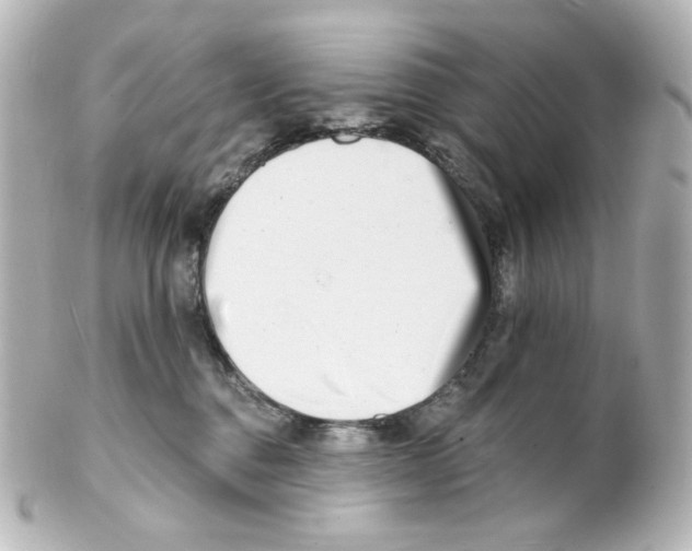 X0000101470376200808041110