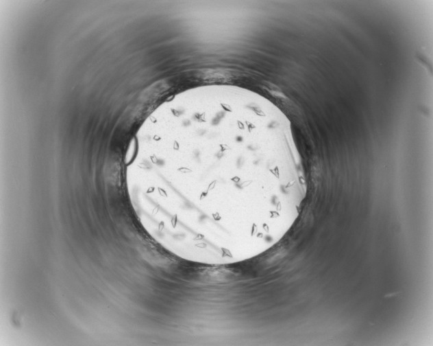 X0000101470379200808041111