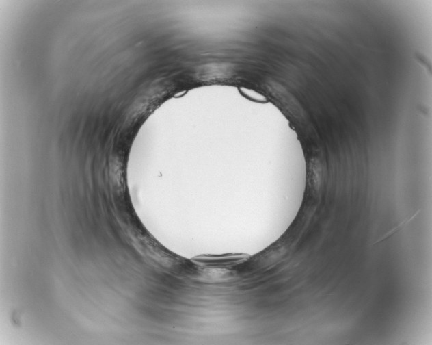 X0000101470380200808041111