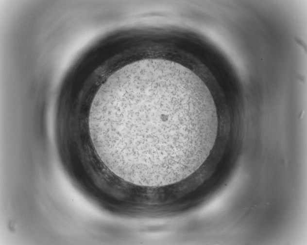 X0000101470383200808041111