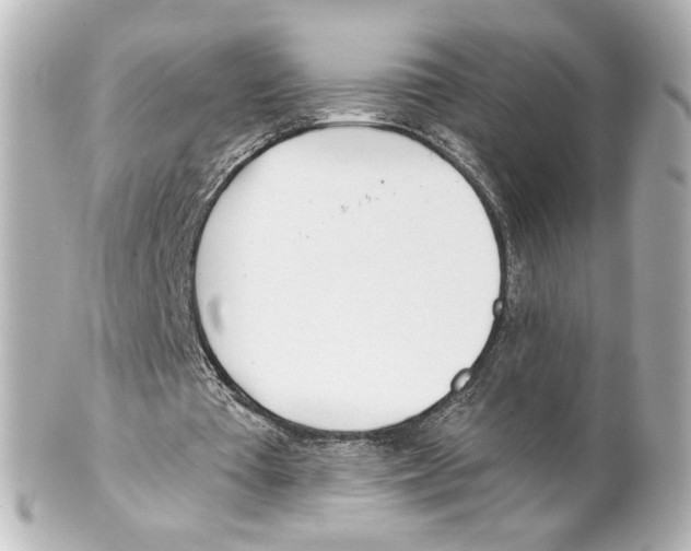 X0000101470385200808041110