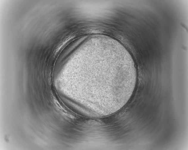 X0000101470386200808041110