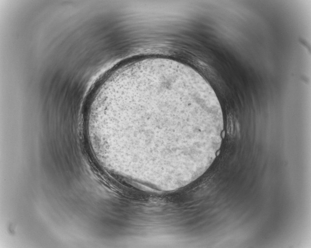 X0000101470388200808041110