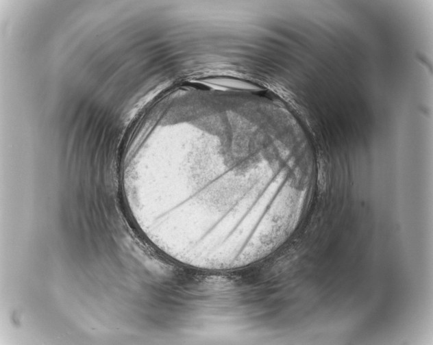 X0000101470390200808041110