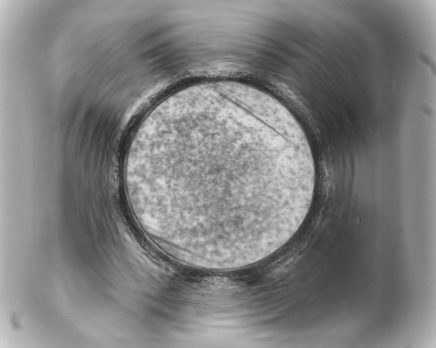 X0000101470392200808041110