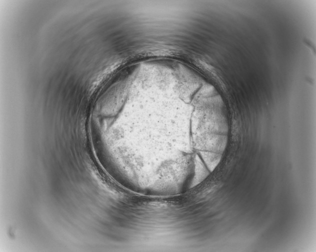 X0000101470394200808041110