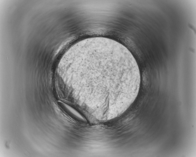 X0000101470396200808041110