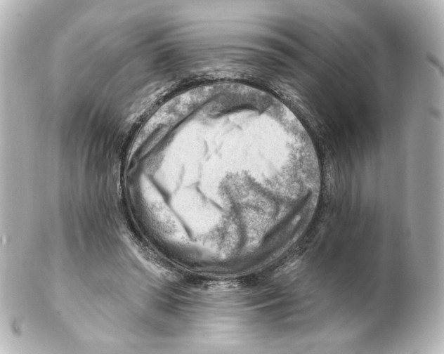 X0000101470398200808041110