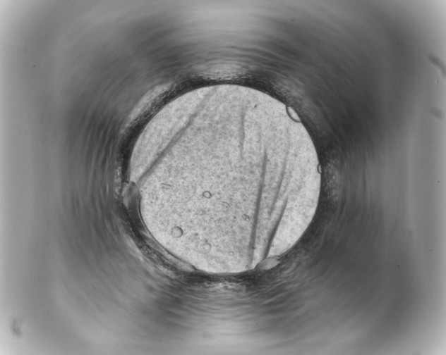 X0000101470400200808041110